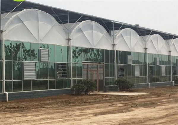 春秋季蔬菜溫室大棚內(nèi)濕度要怎么控制